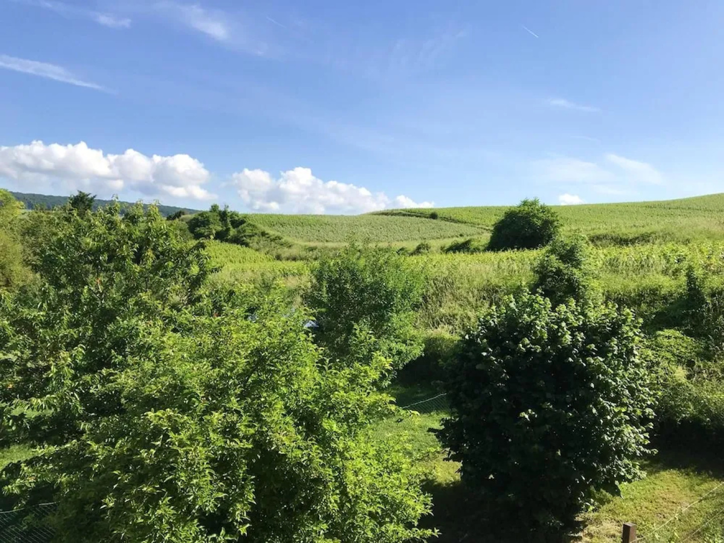 House With 3 Bedrooms in Chavot-courcourt, With Enclosed Garden and Wifi