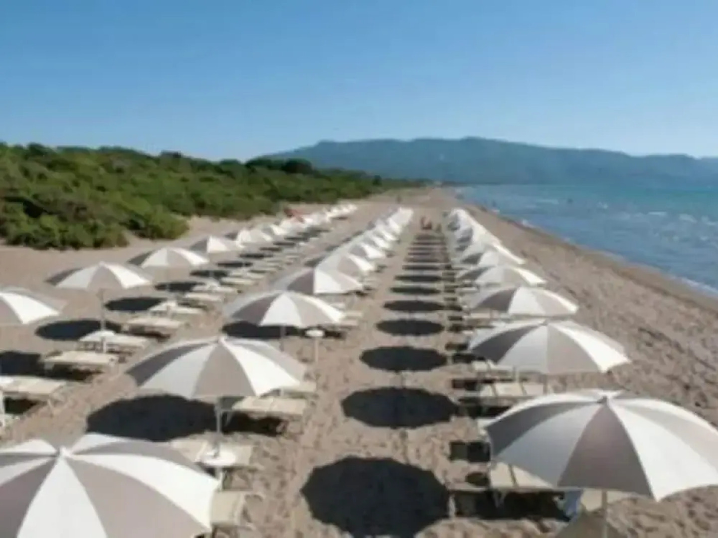 Haven in the Hills of Tavullia