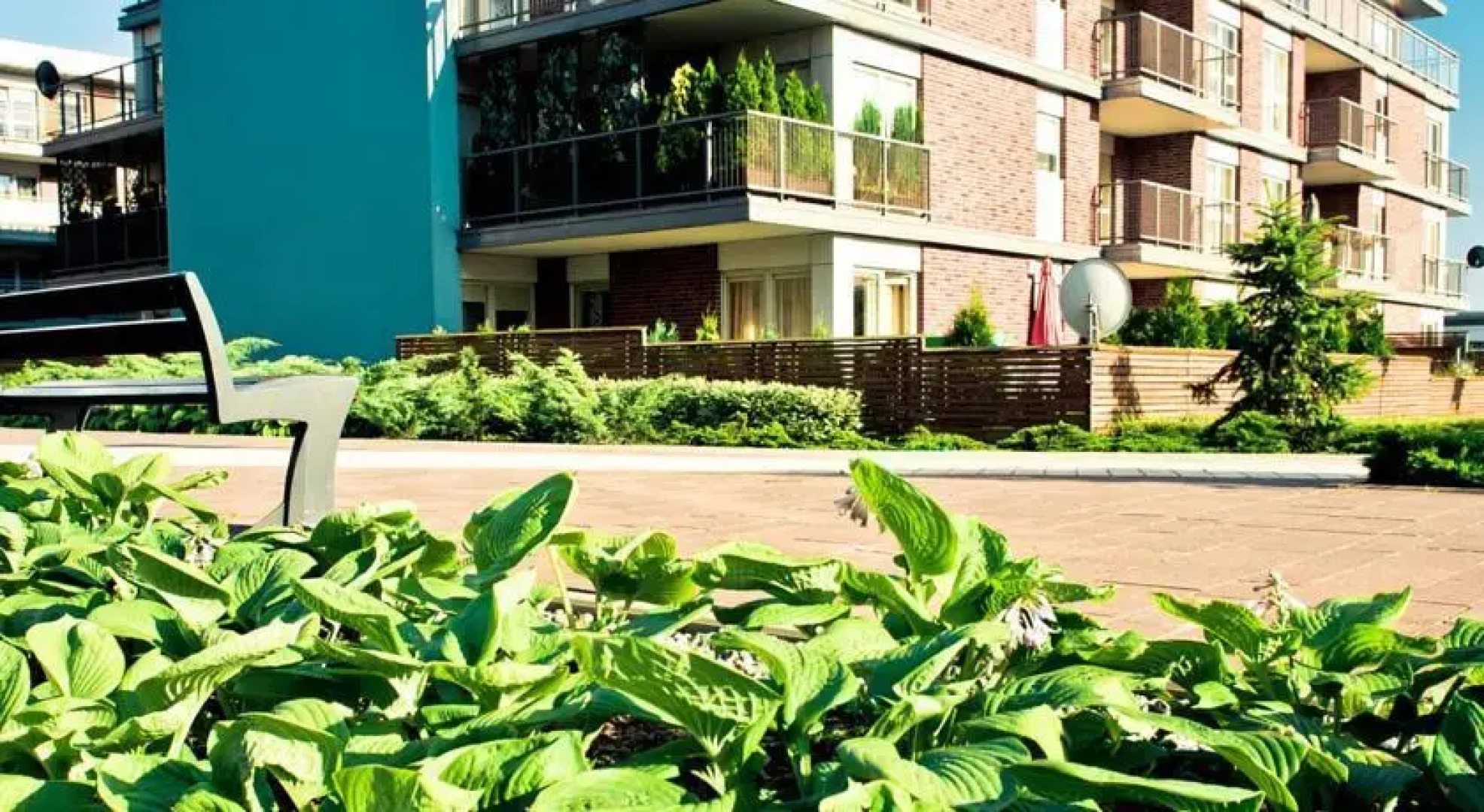 Friendly Inn Apartments