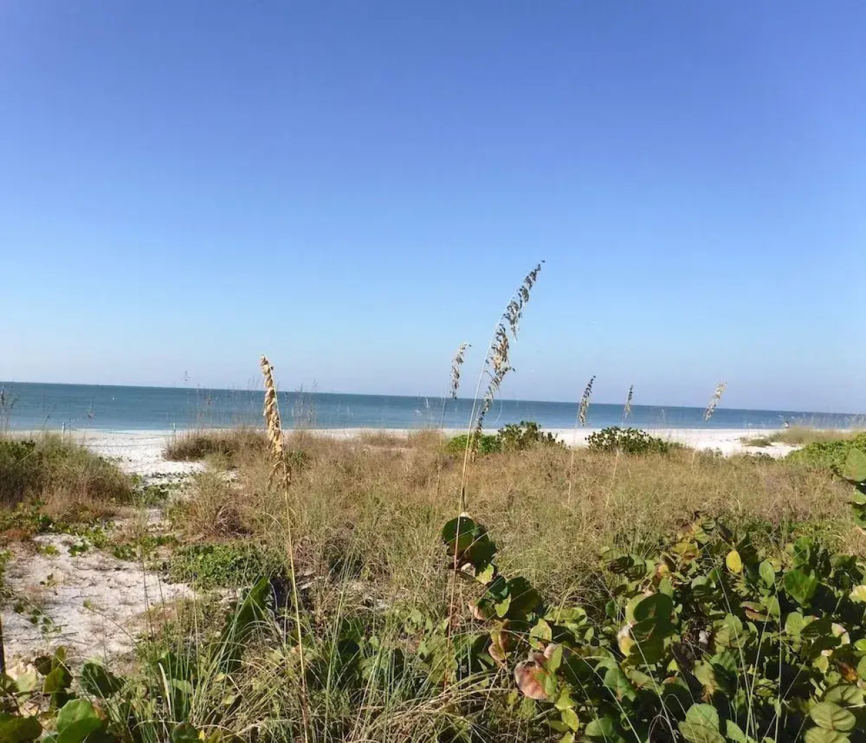 Waterside Inn on the Beach