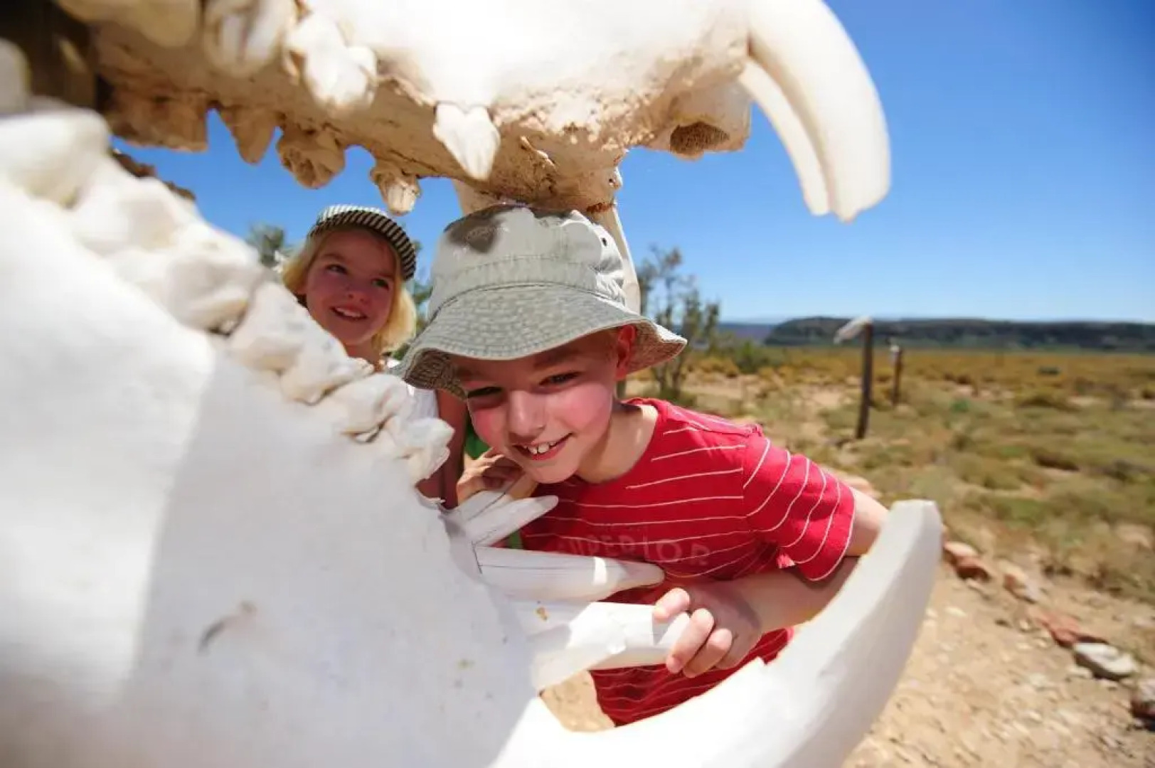 Sanbona Wildlife Reserve