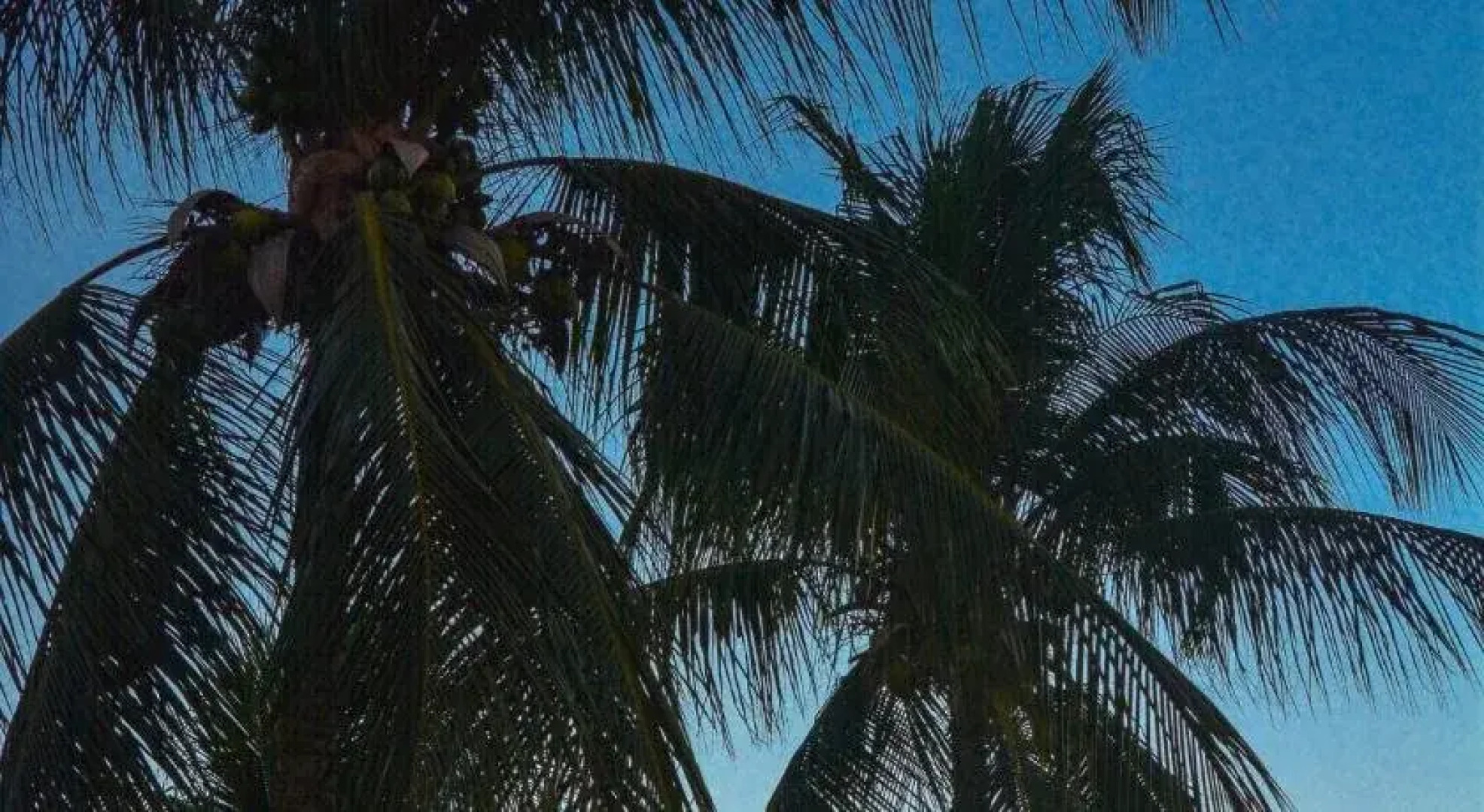 Fiesta Baiana Clube Hotel