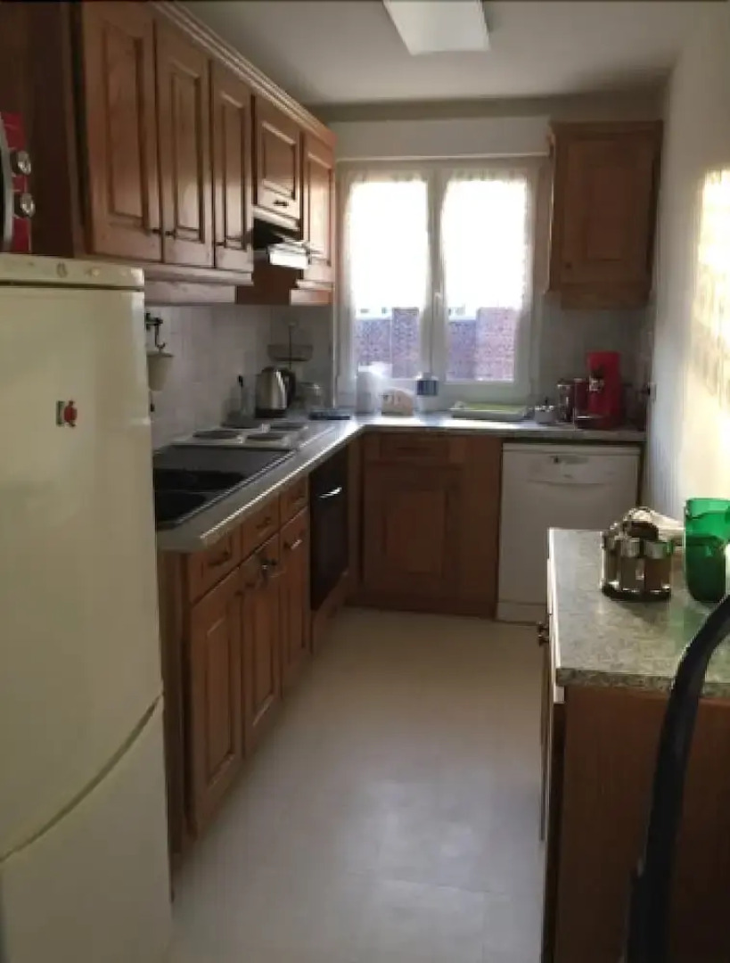 Mers les Bains-Hydrangea