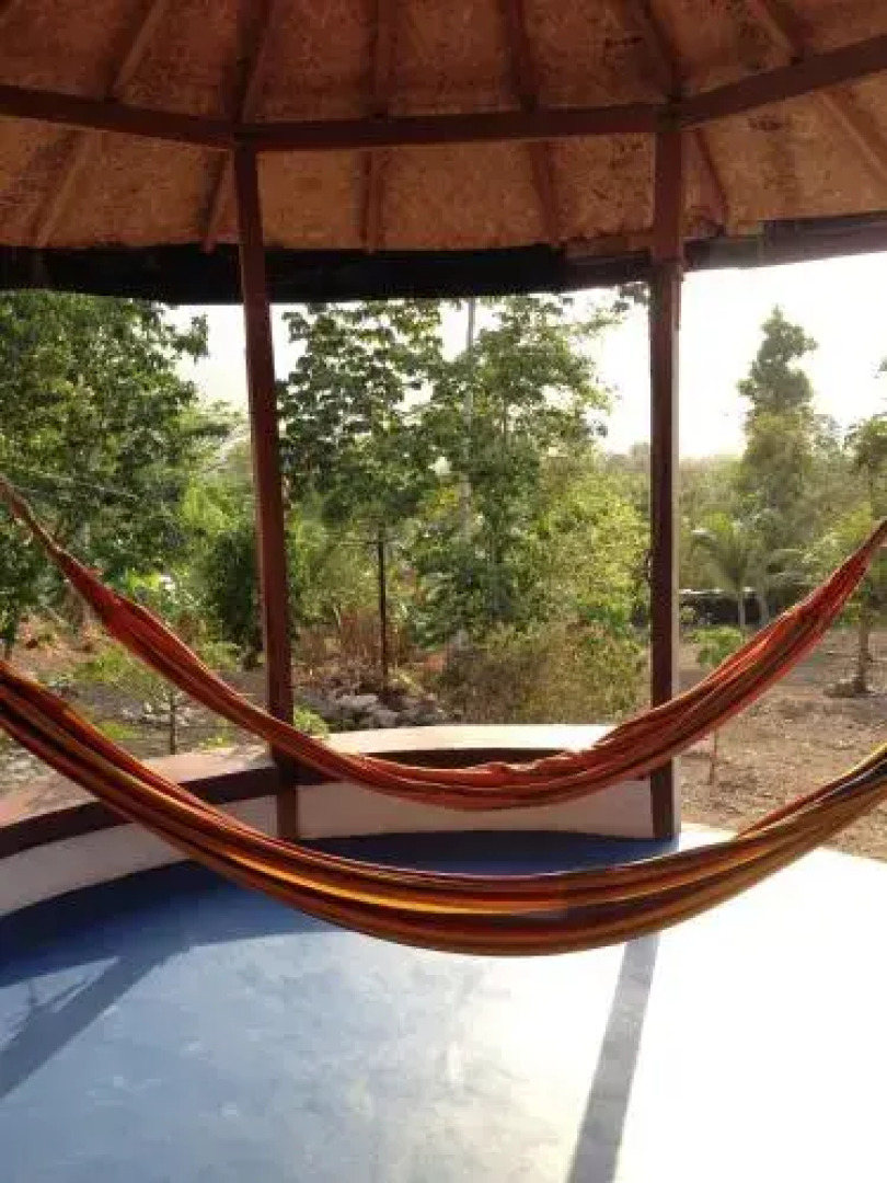 Jaguar Azul Palomino