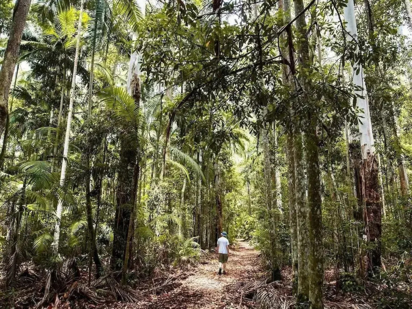 Escape to Warner's Hidden Gem - Private Pool & Relaxing Oasis