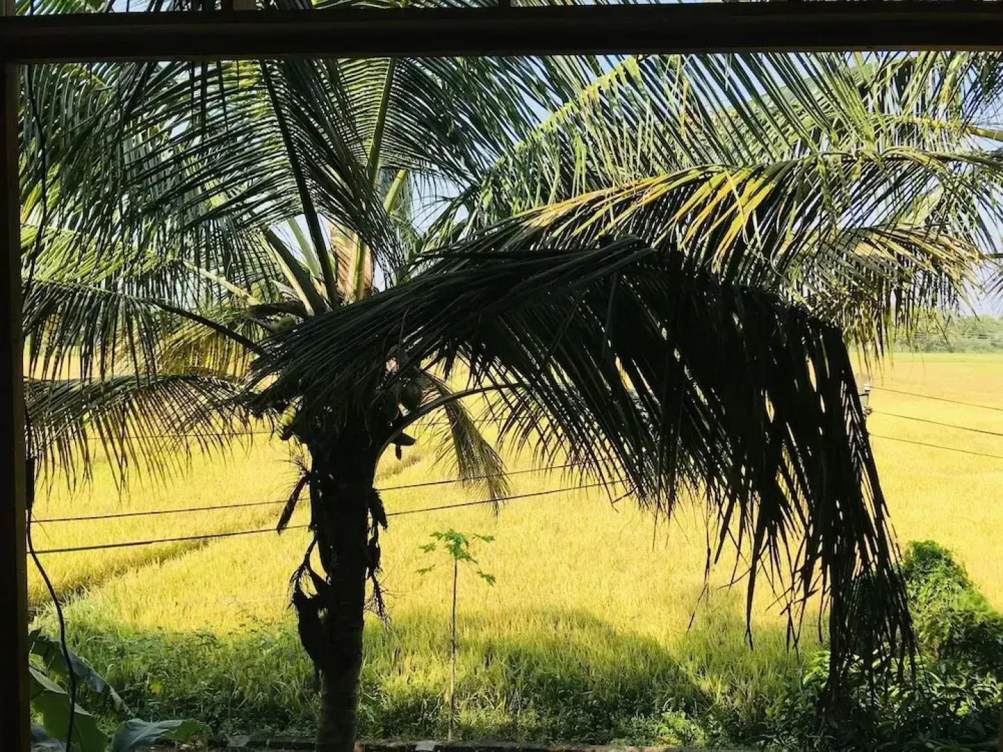 Rivonway Hotel Polonnaruwa