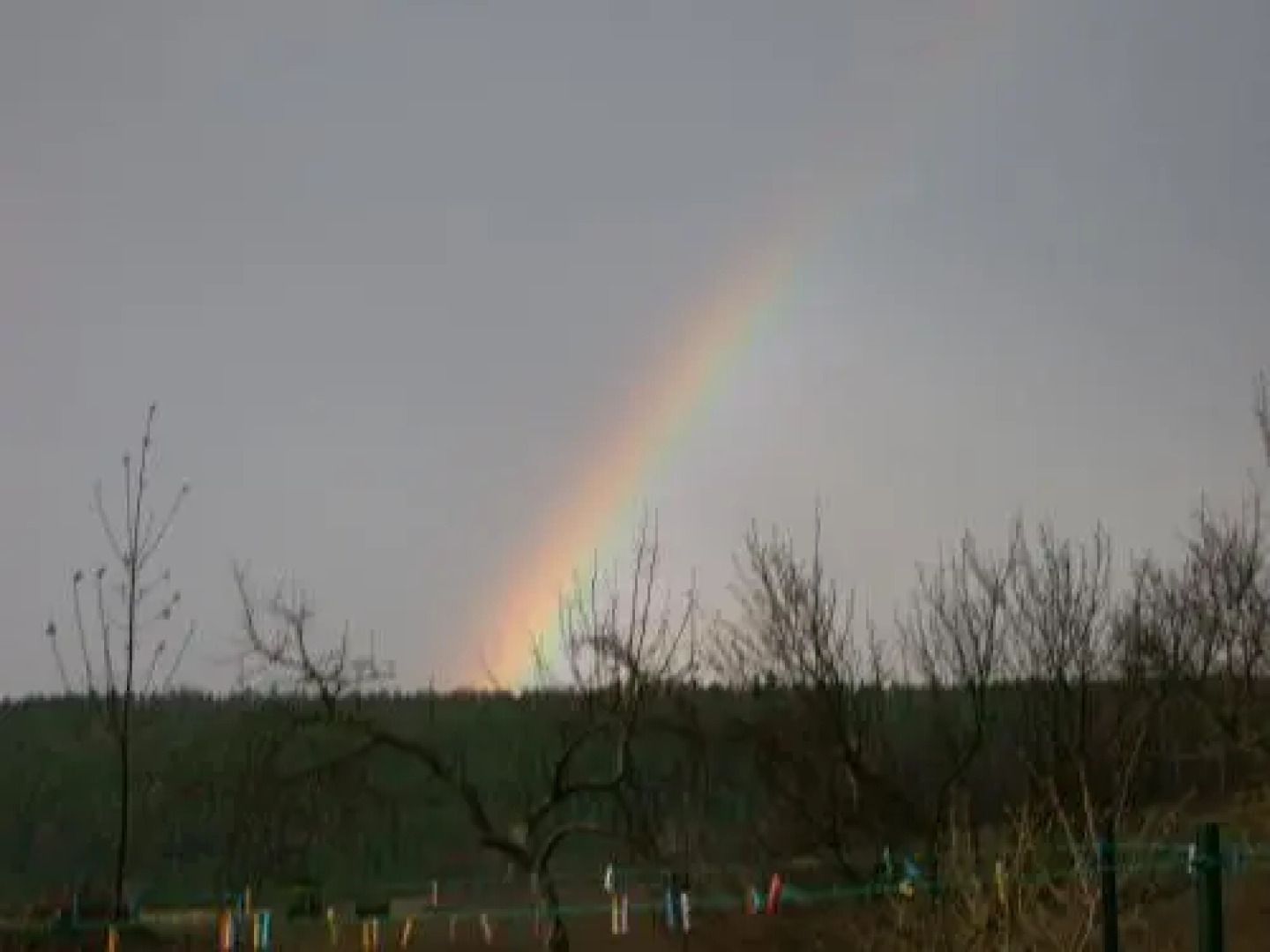 No.5 - Ferienwohnung Schkade