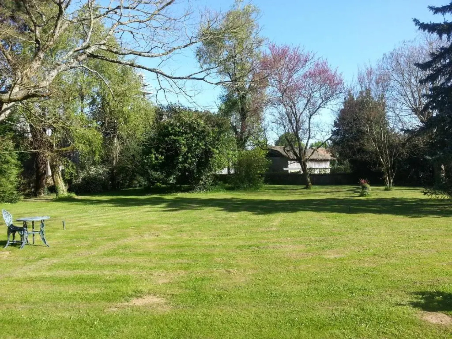 Les Roses Trémières