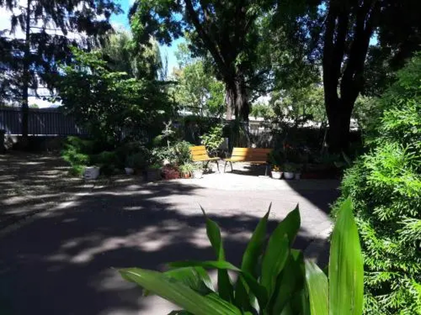 Orchidea Apartman Eger