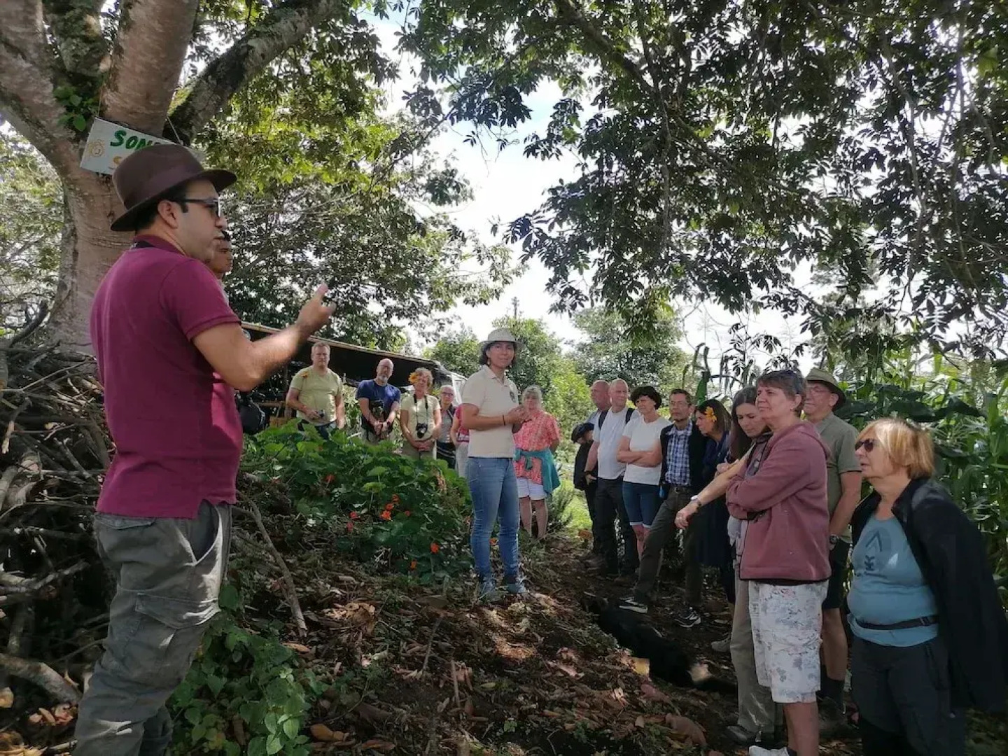 Tierra Activa Organic Farm and Agro-tourism San Agustin