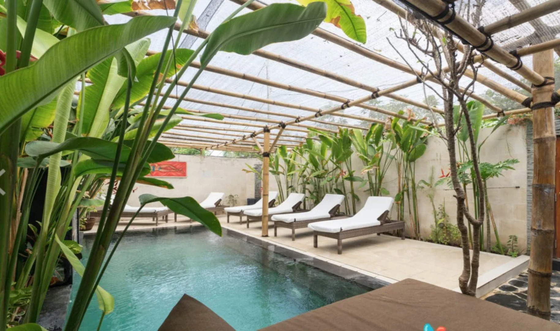 Scallywags Smugglers