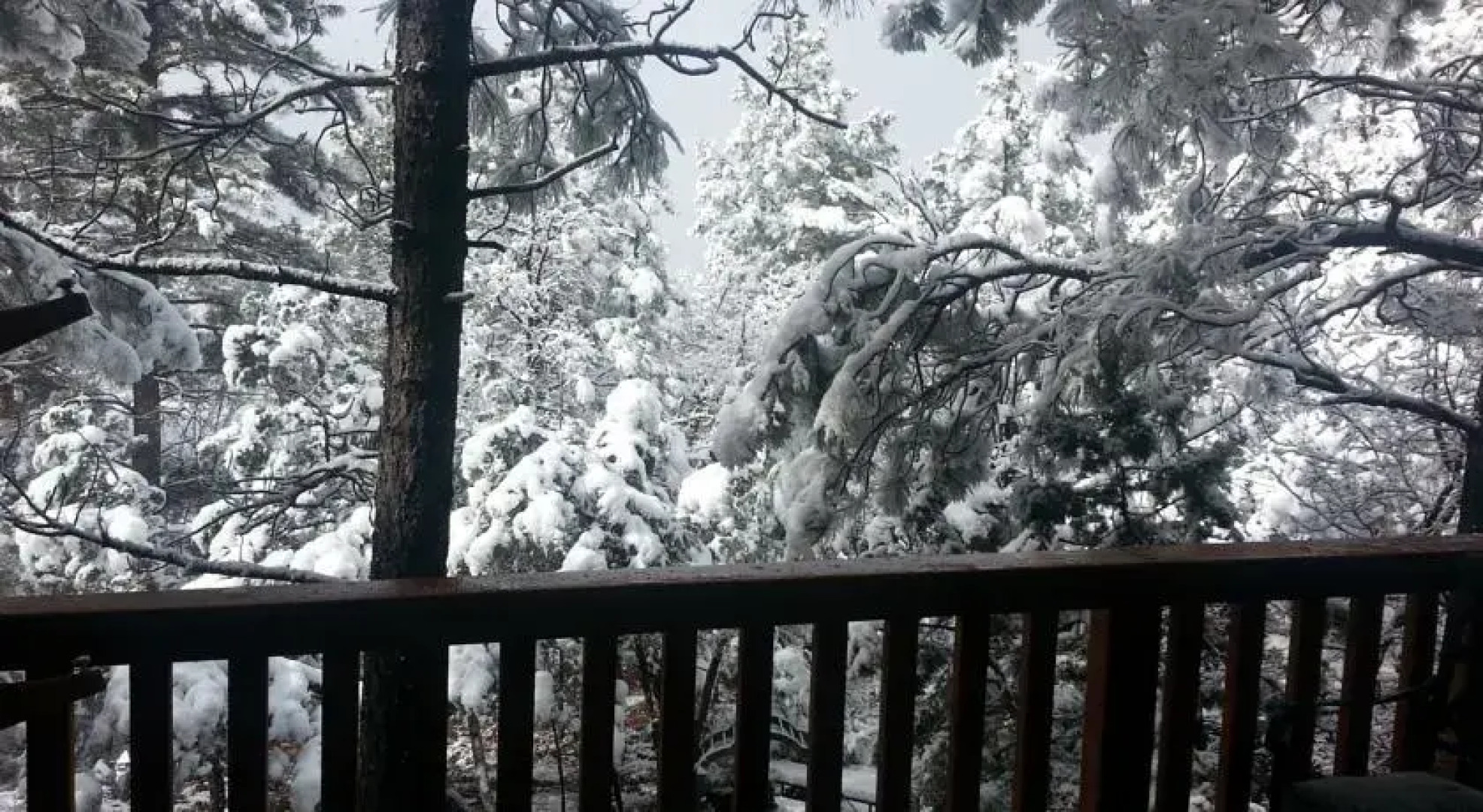 White Mountain Retreat