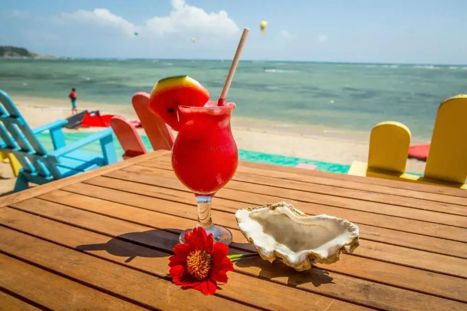 Phan rang kite center