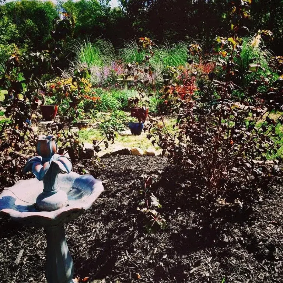 Sams Cottage on the Greens