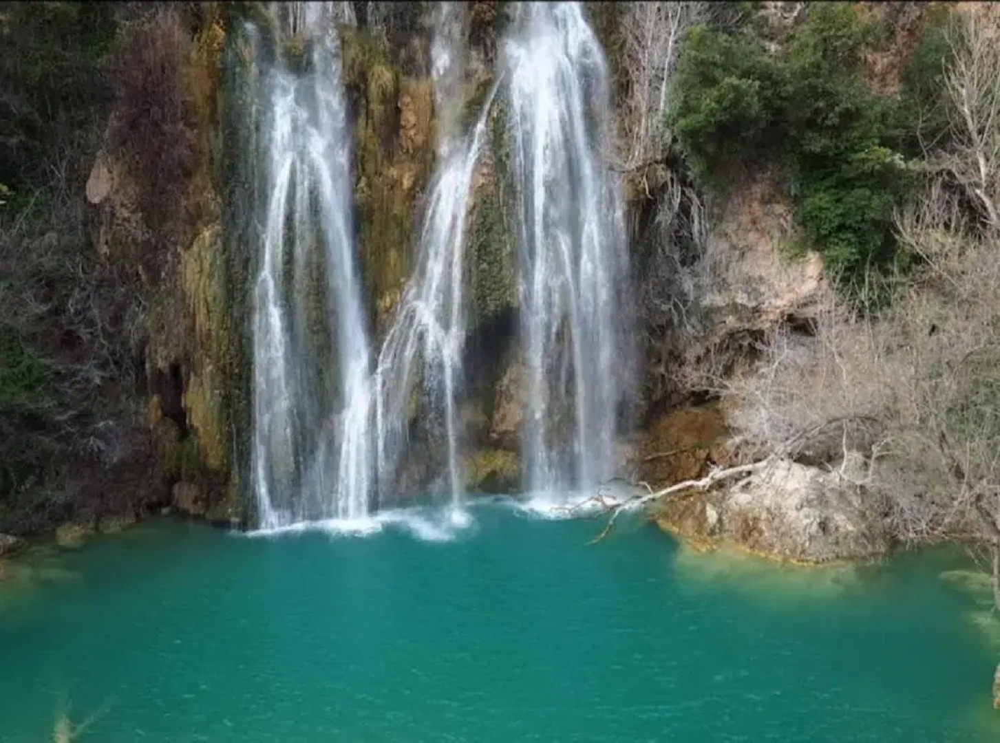 la Mésange Bleue du VERDON