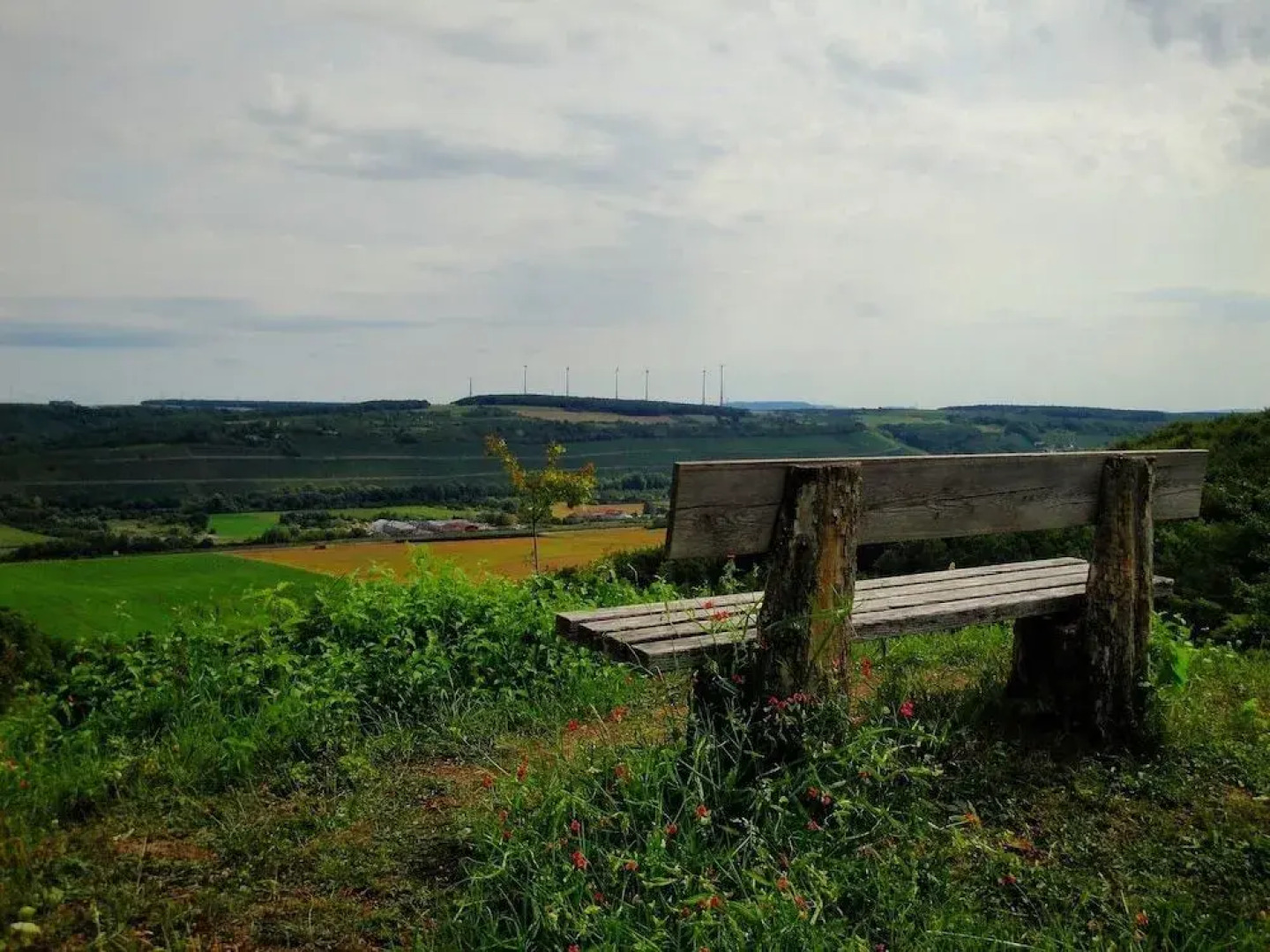 Anno Domini 1716  Boutique Hotel