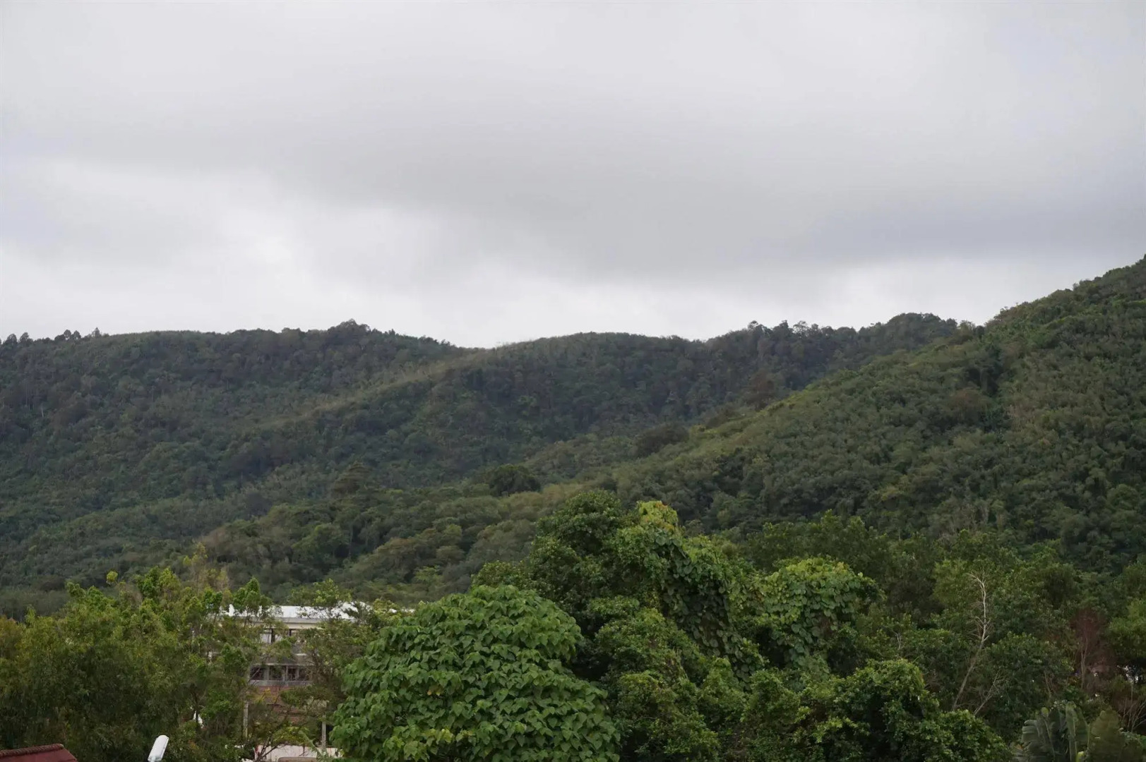 Kamala Beach Residence