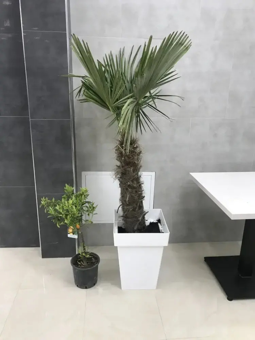 Hotel Emro
