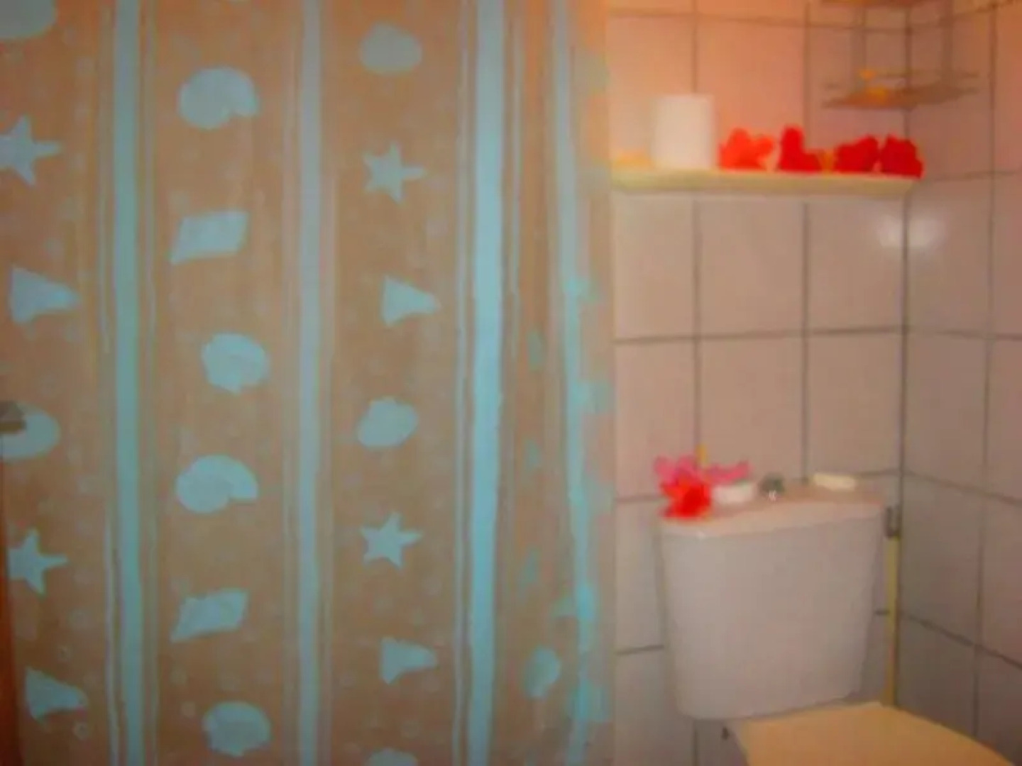 Tata Pension Mave Mai