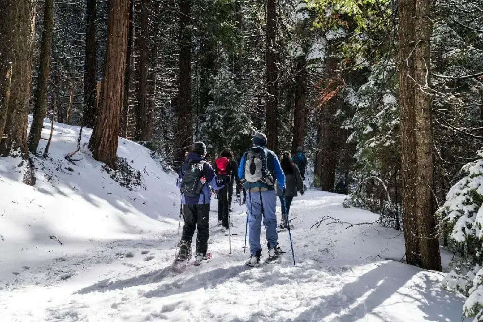 Fairfield Inn & Suites Oakhurst Yosemite