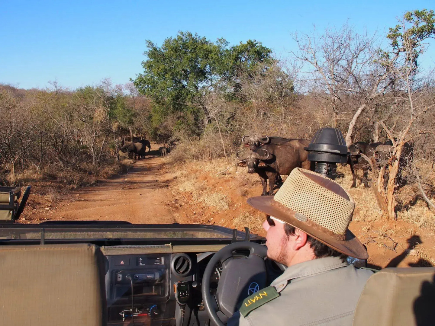 IsiLimela Game Lodge