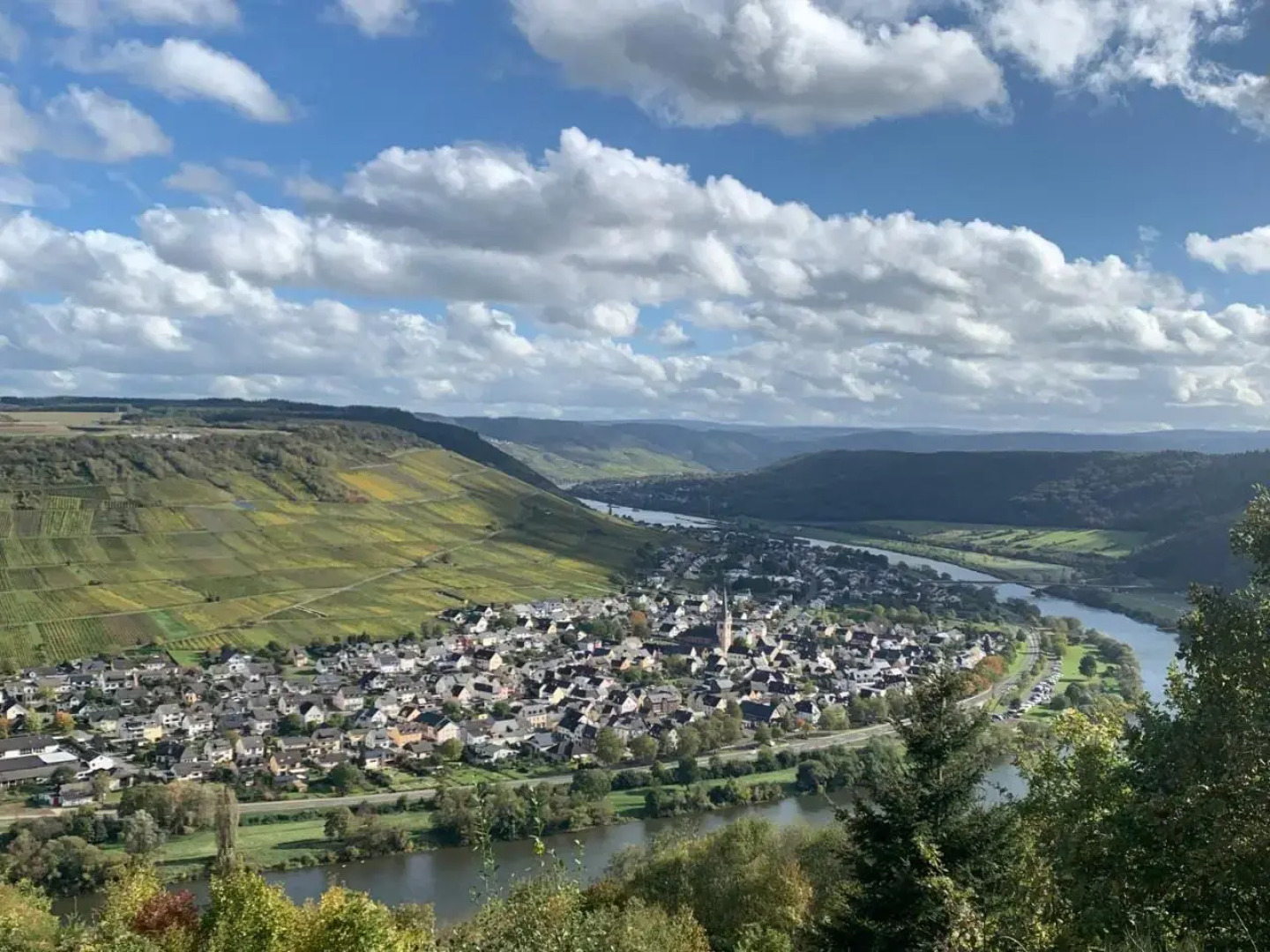 Weinhof Michael Morbach