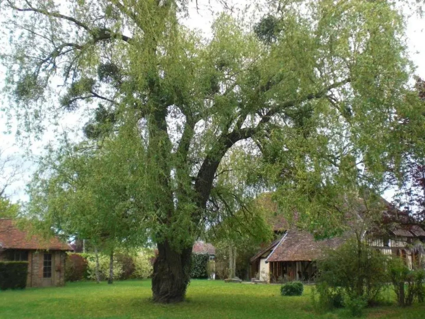 Gîte Lusigny-sur-Barse, 4 pièces, 6 personnes - FR-1-543-99