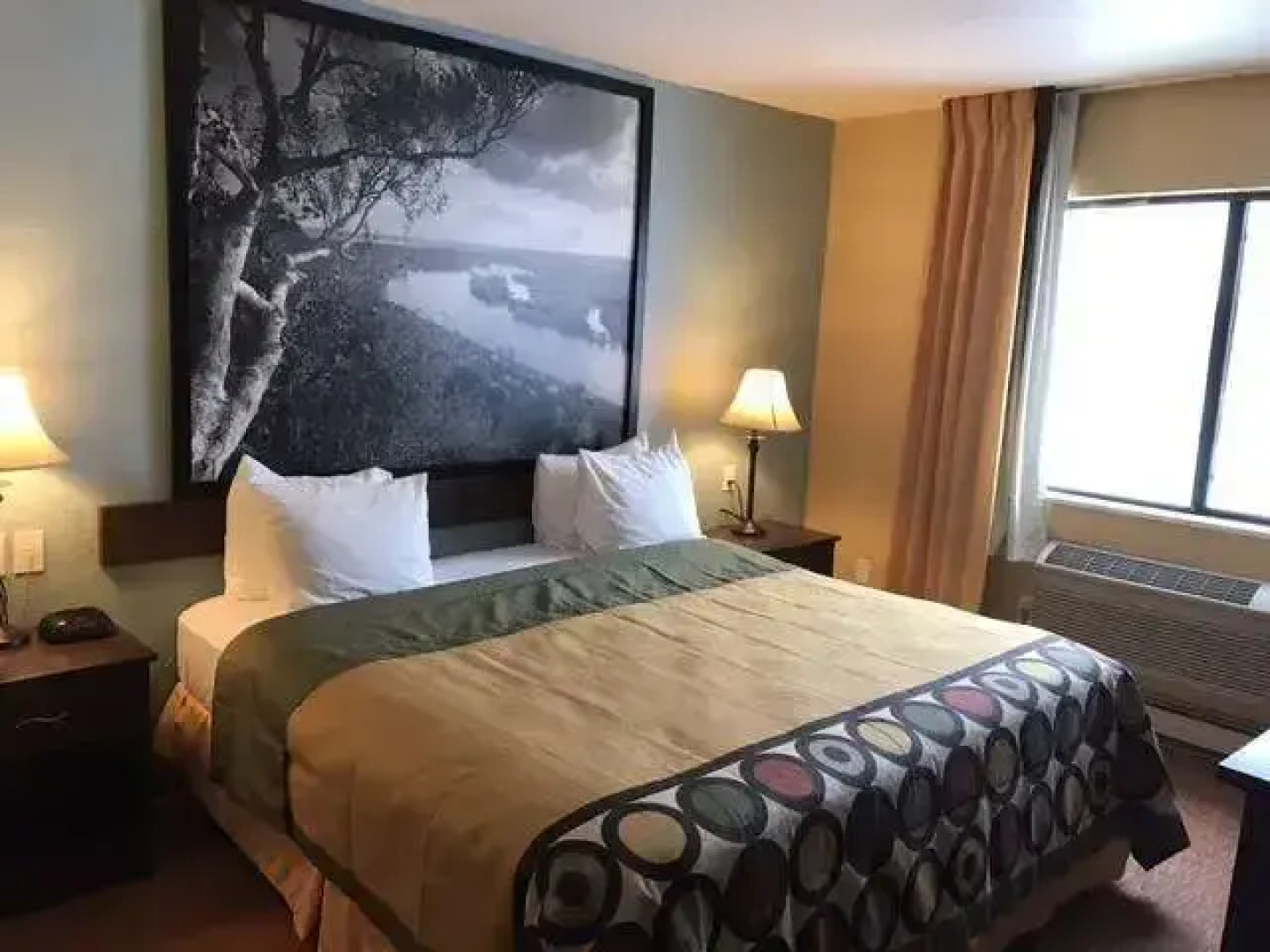 Super 8 by Wyndham Plover Stevens Point Area