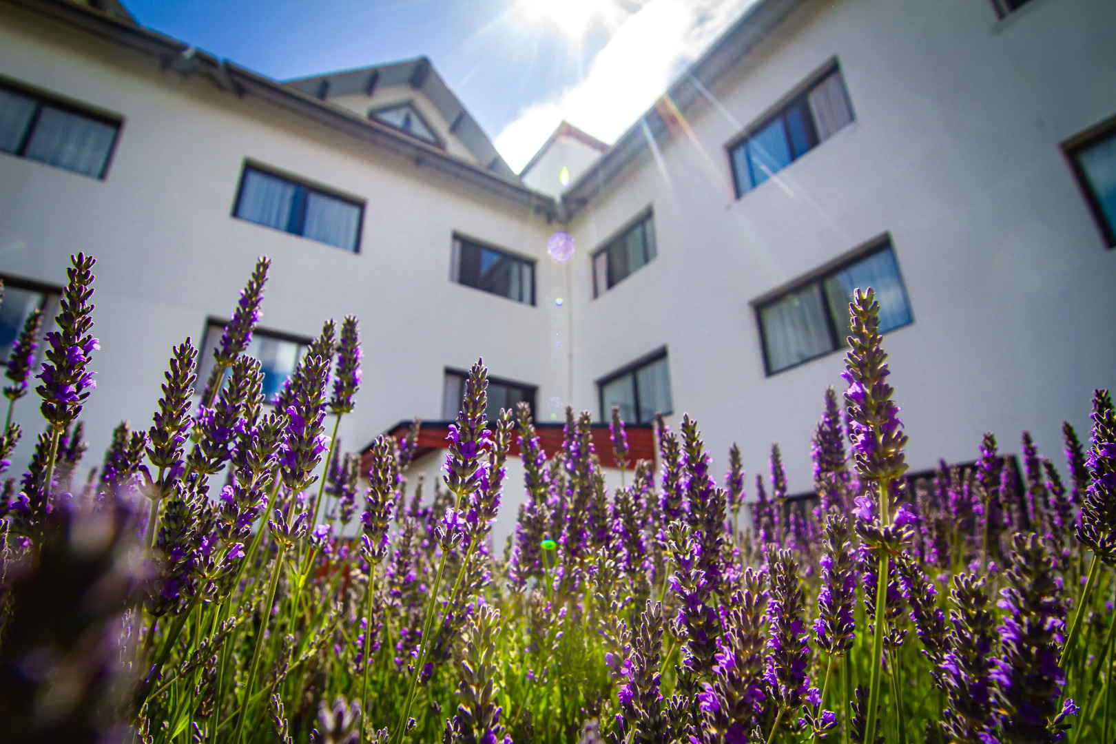 Calafate Parque Hotel