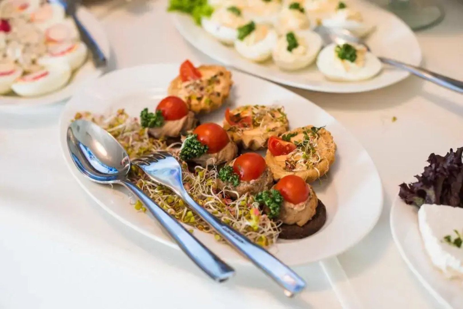 Hotel Żywiecki Medical Spa & Sport