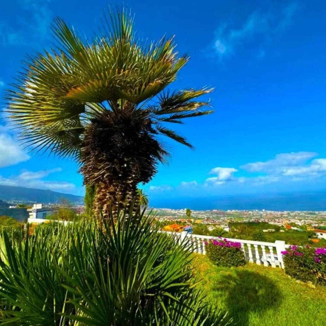 Villa in La Orotava 7 Bedrooms 1 bed 7 Baths