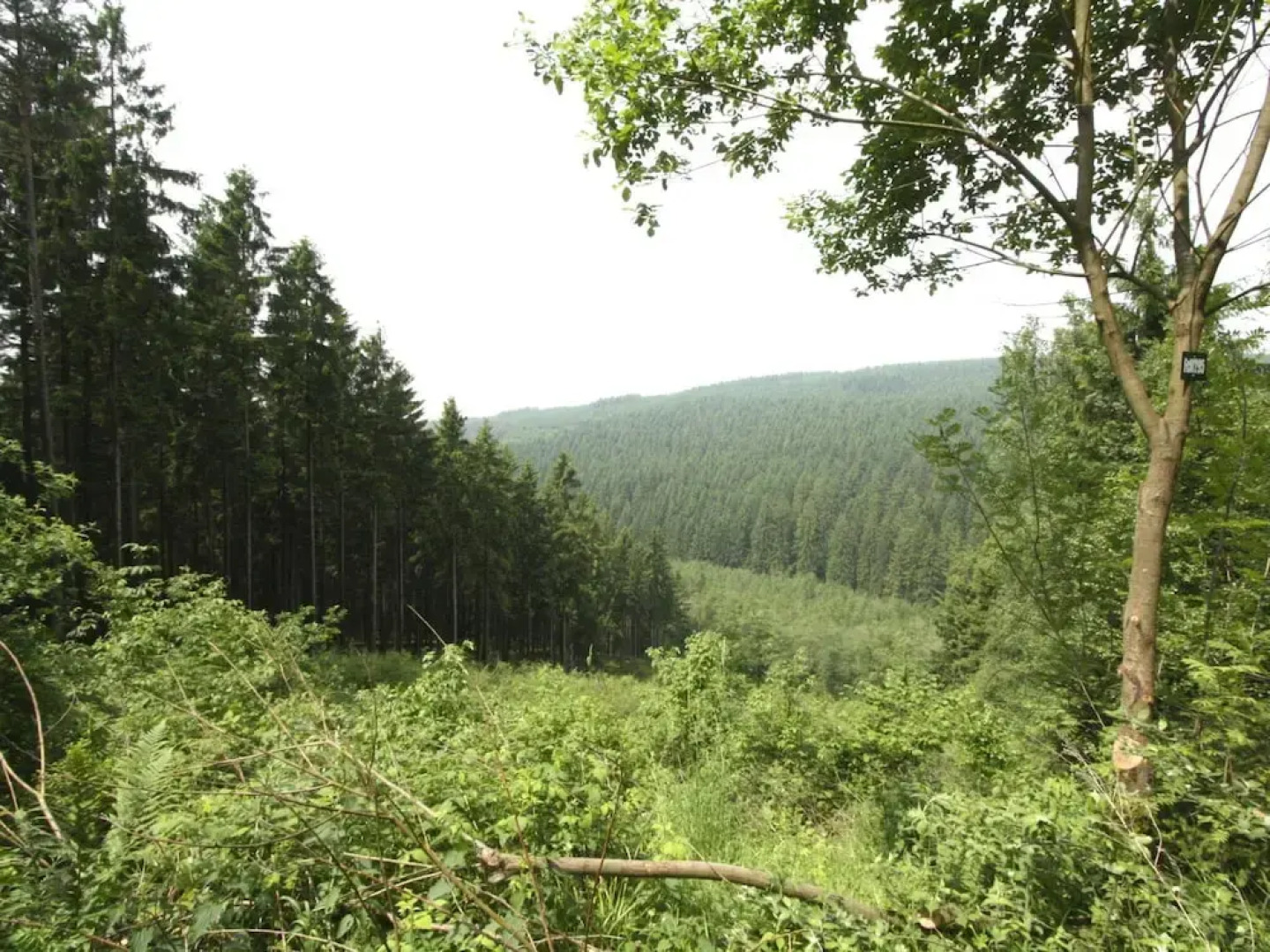 Spacious Apartment in Ondenval with Terrace