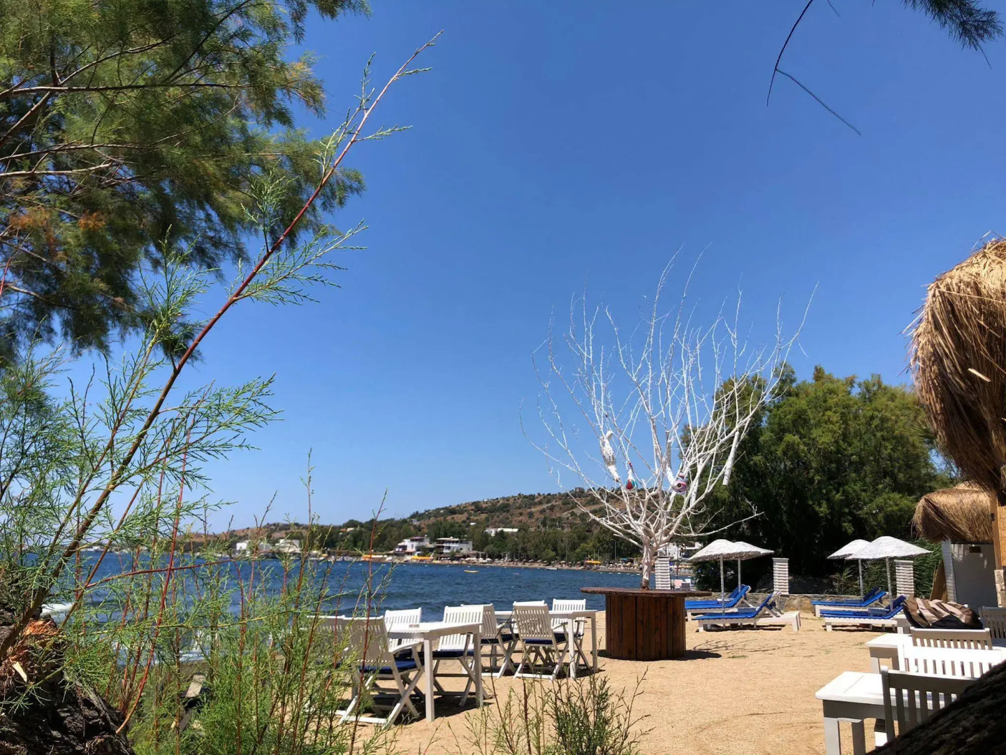 Ladonia Hotels Zemda Gümüşlük