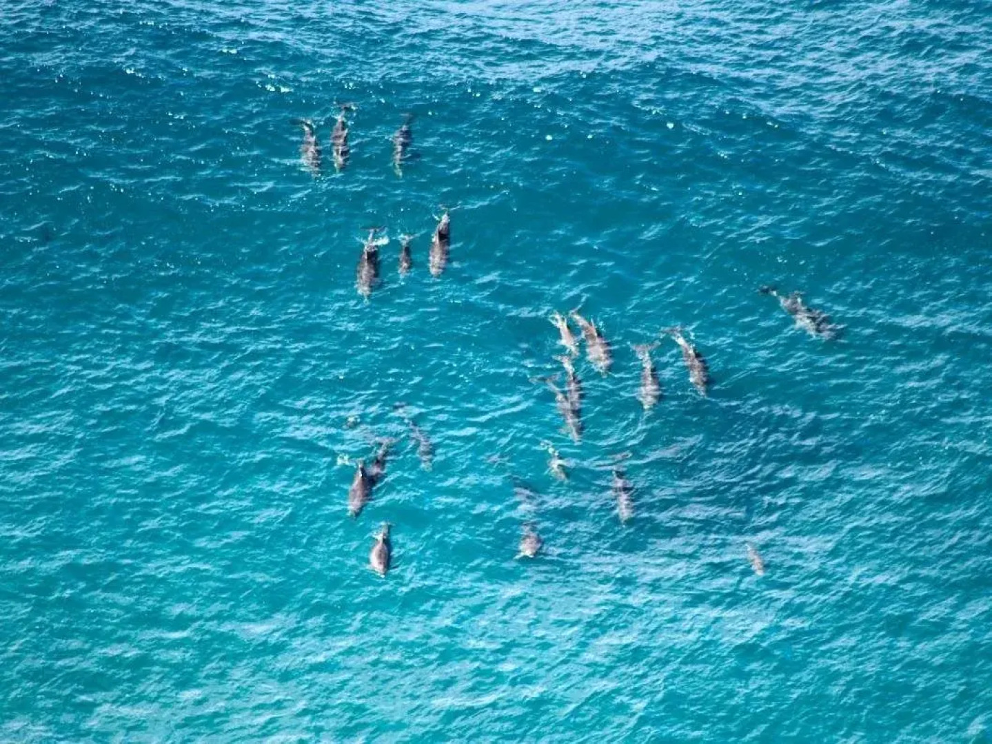 Your Luxury Escape - Amala Villa