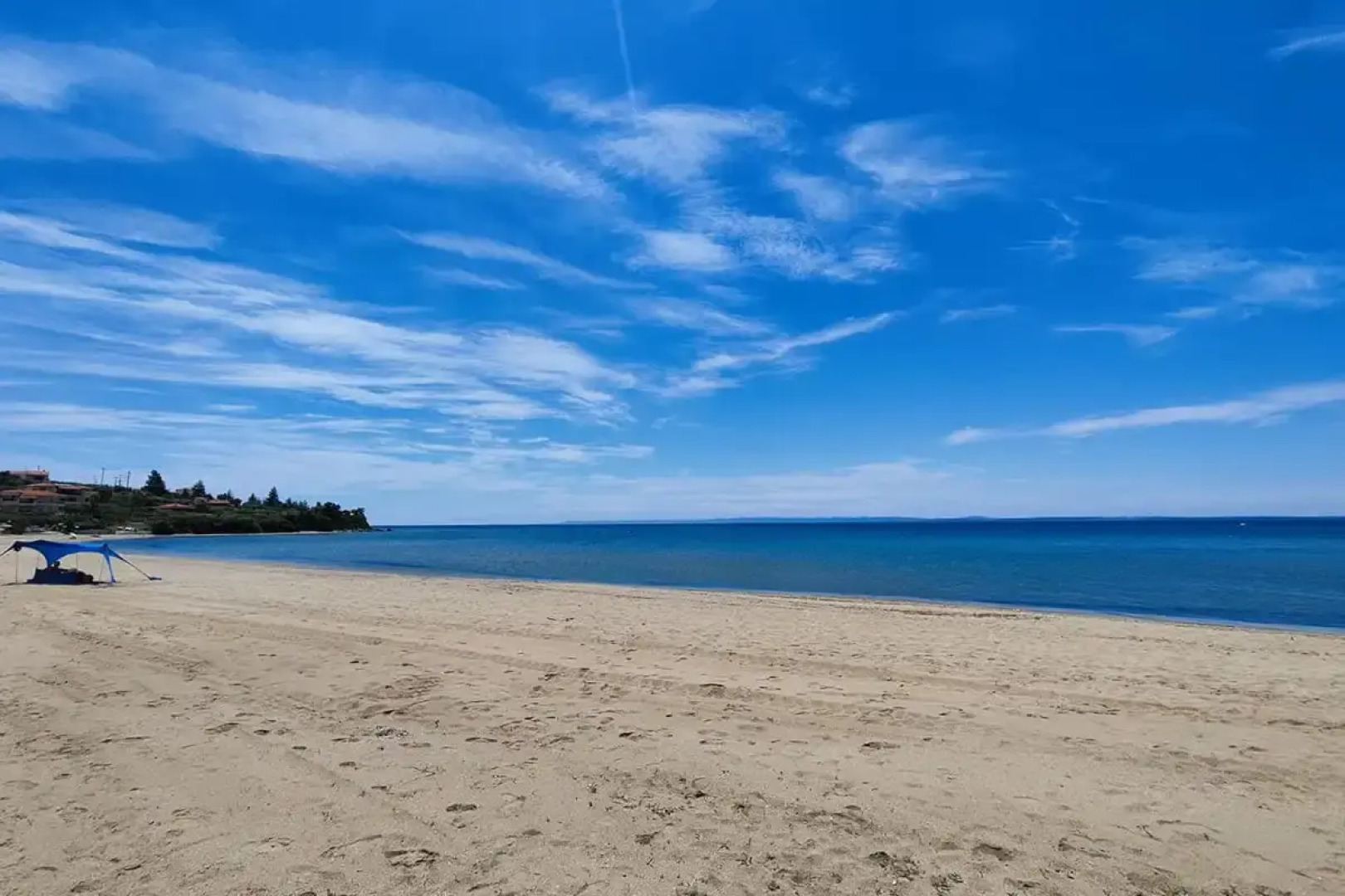 The House of The Roses