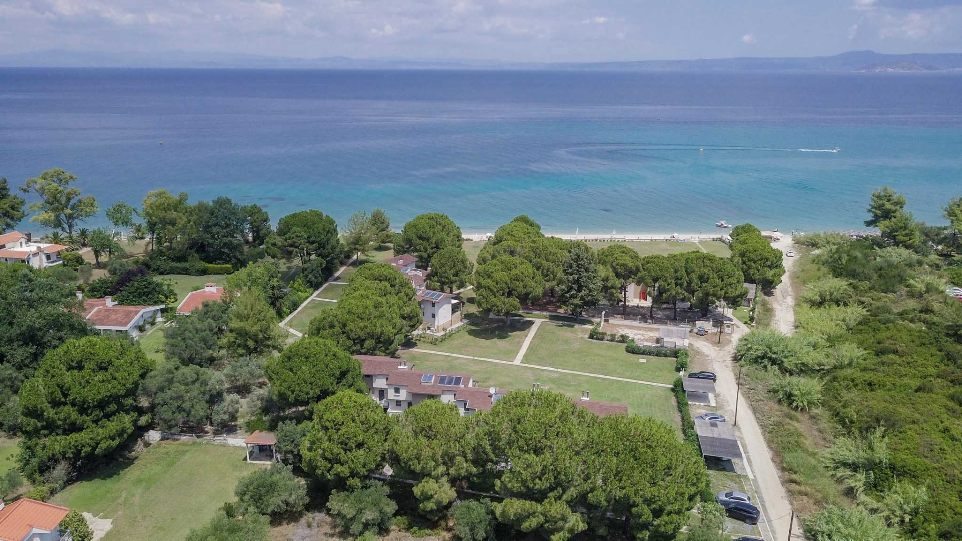 Zennova #12 Blue Pearl