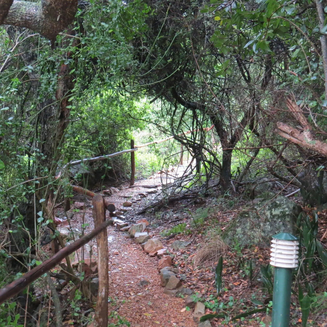 Woodbury Lodge - Amakhala Game Reserve