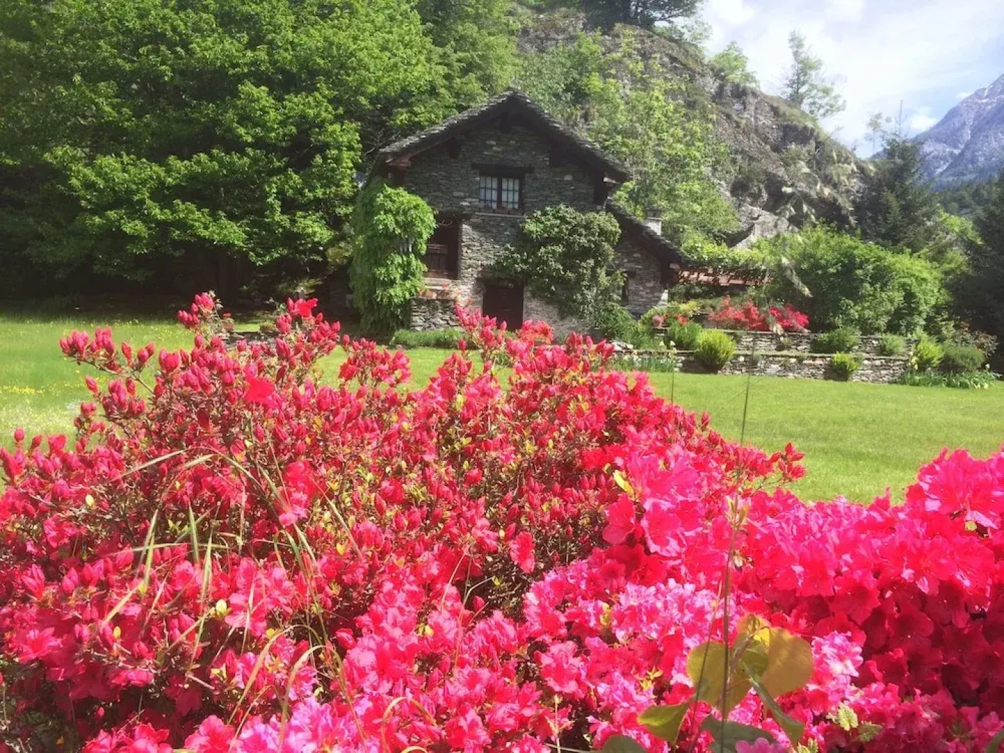 Casa Vacanze Le Primule