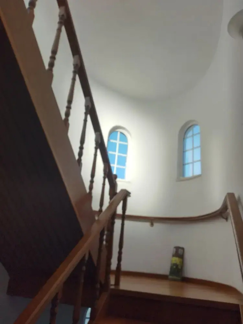 Freeman Greenlees Classical Greek