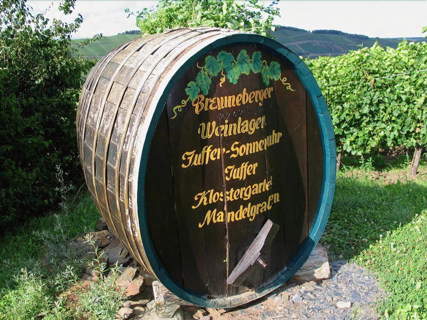 Pension und Weingut Moselblick