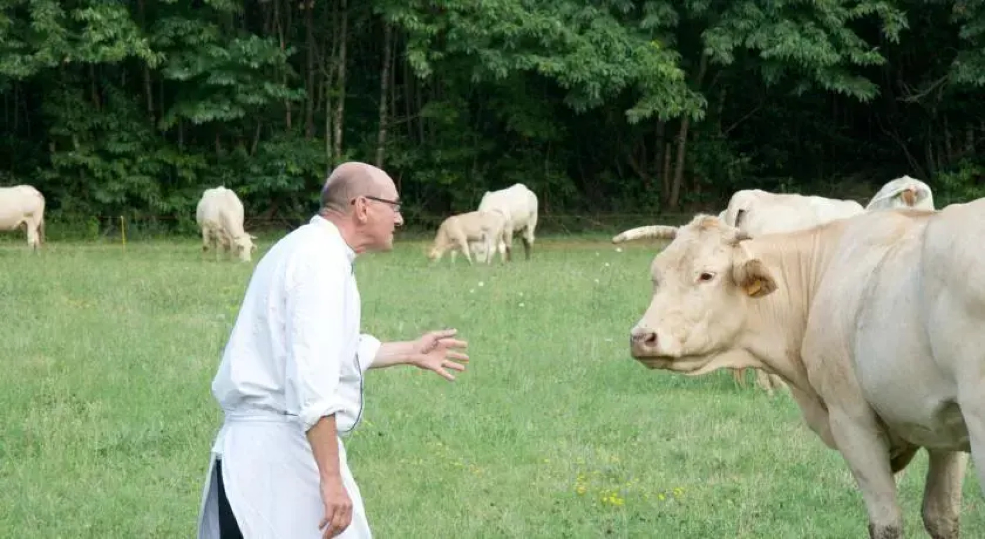 LAuberge La Source De Peyssou