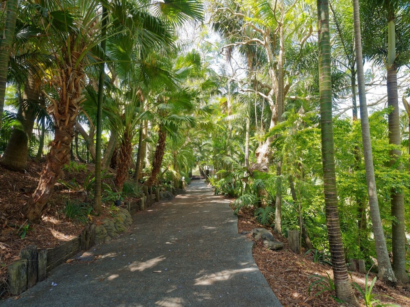 230 Scenic Drive