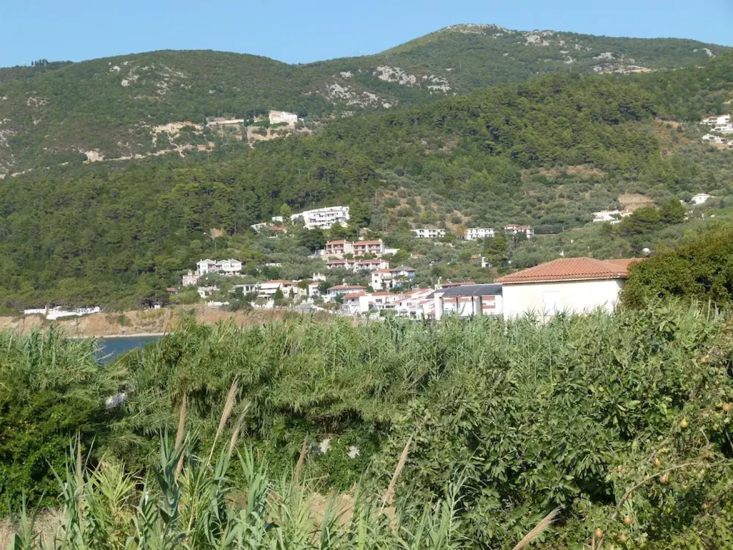 Hotel Amalia 2