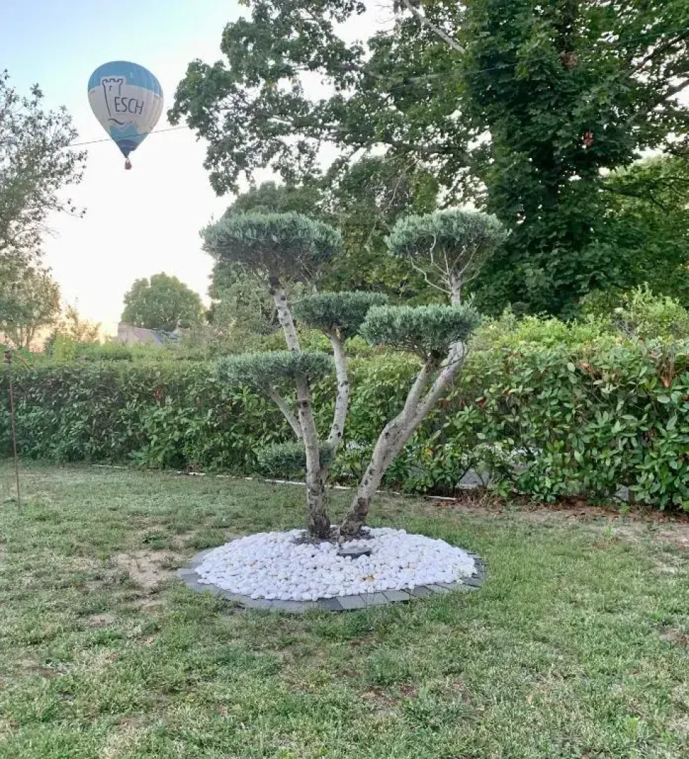 Chambre d'Hôtes Le Lagon