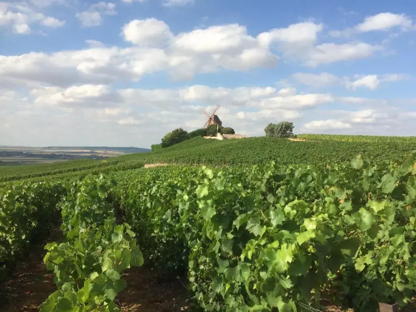 Les Suites Champenoises