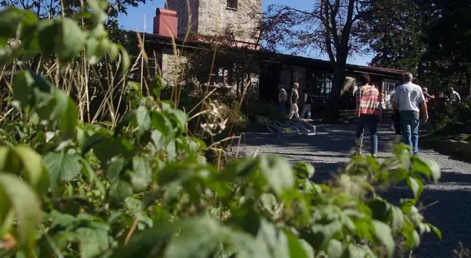 Landgasthof/Landhaus Waldlust