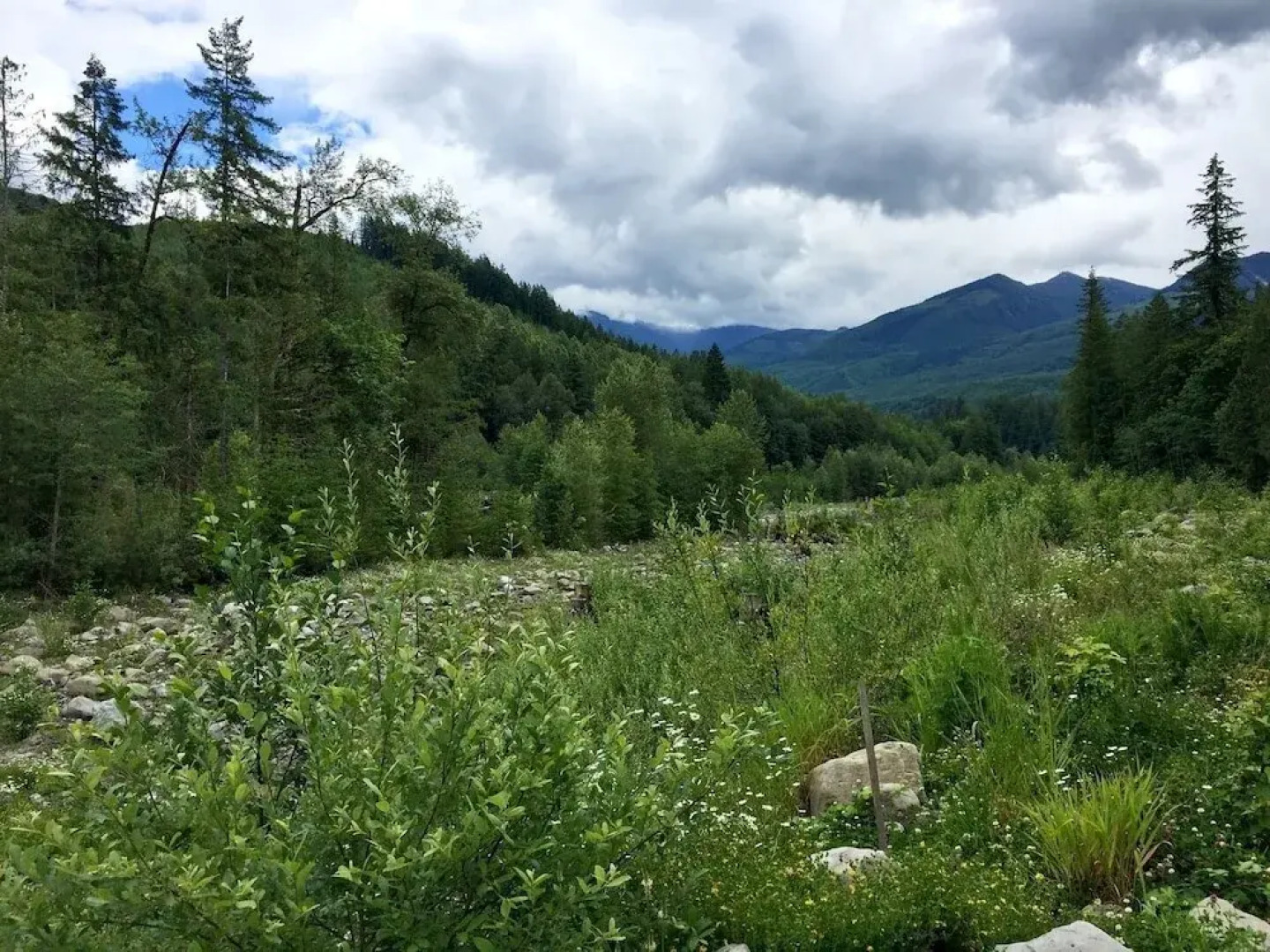 21gs - Log  - Pets Ok - Sleeps 6 3 Bedroom Home by RedAwning