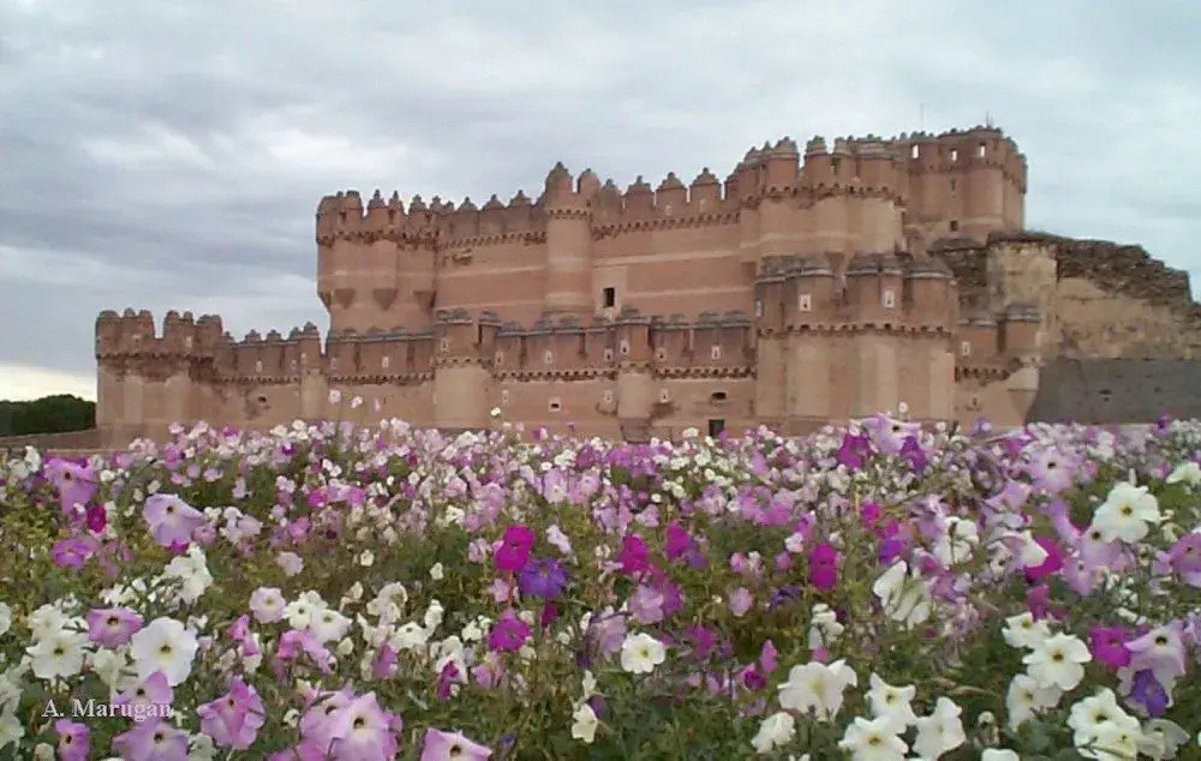 Albergue Villa De Nava de La Asunción - Hostel