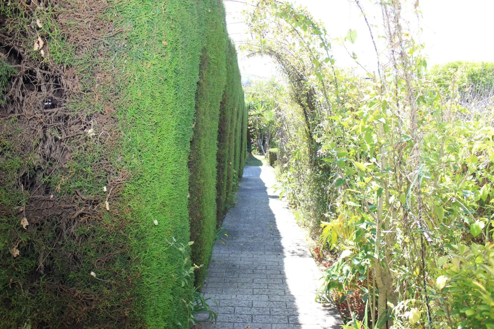 Hotel Rincon Del Arco