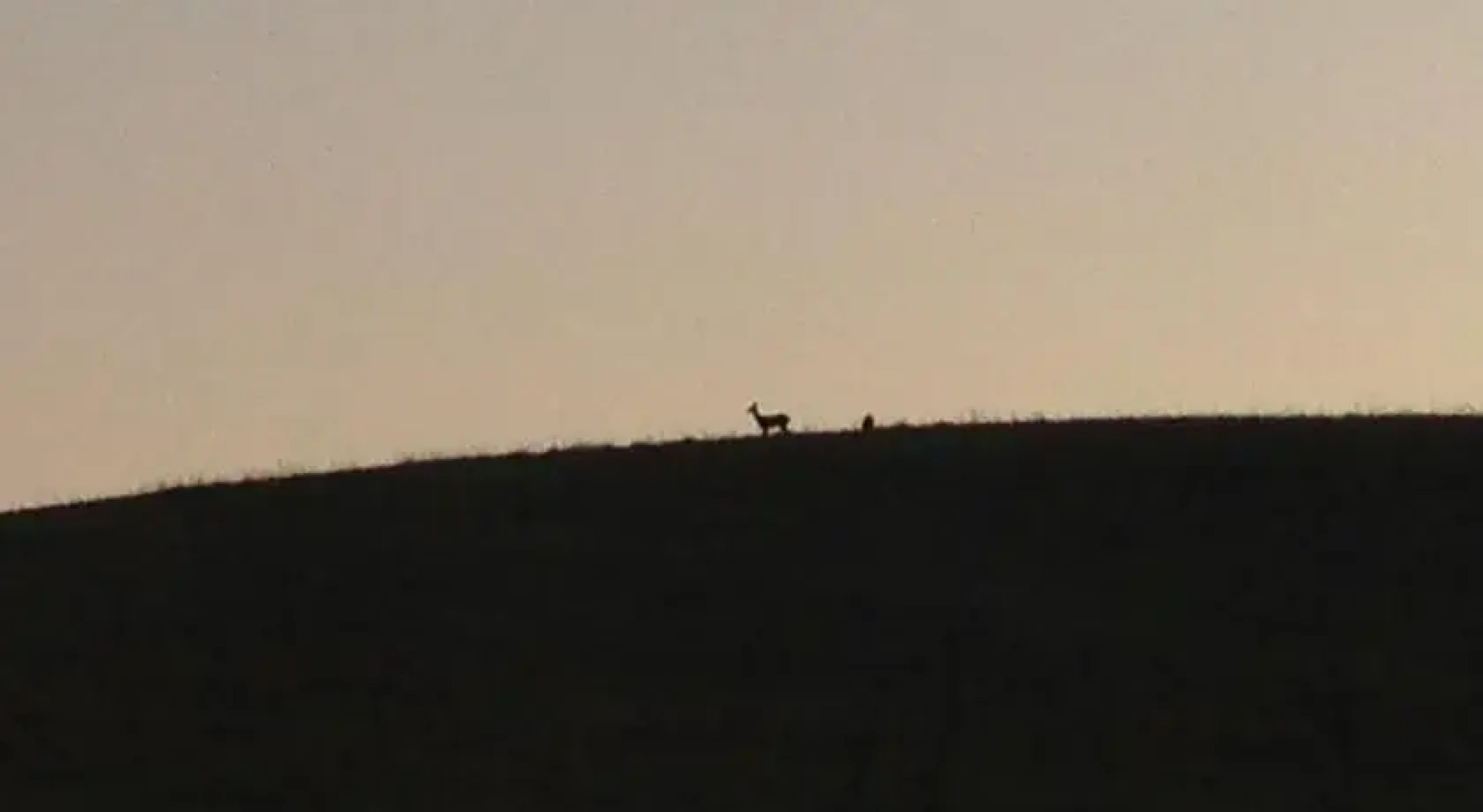 Le Clos Des Galichons